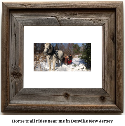 horse trail rides near me in Denville, New Jersey